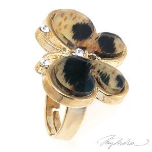 Anillo de Bisutería Carey con Mariposa CAREY1 de la Colección CORONA