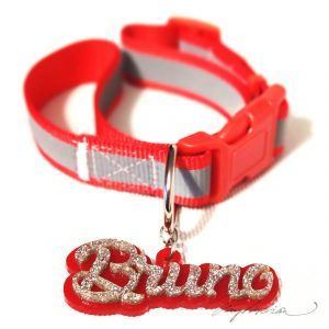 Collar de Perro Personalizado BIGDOG en metacrilato Doble