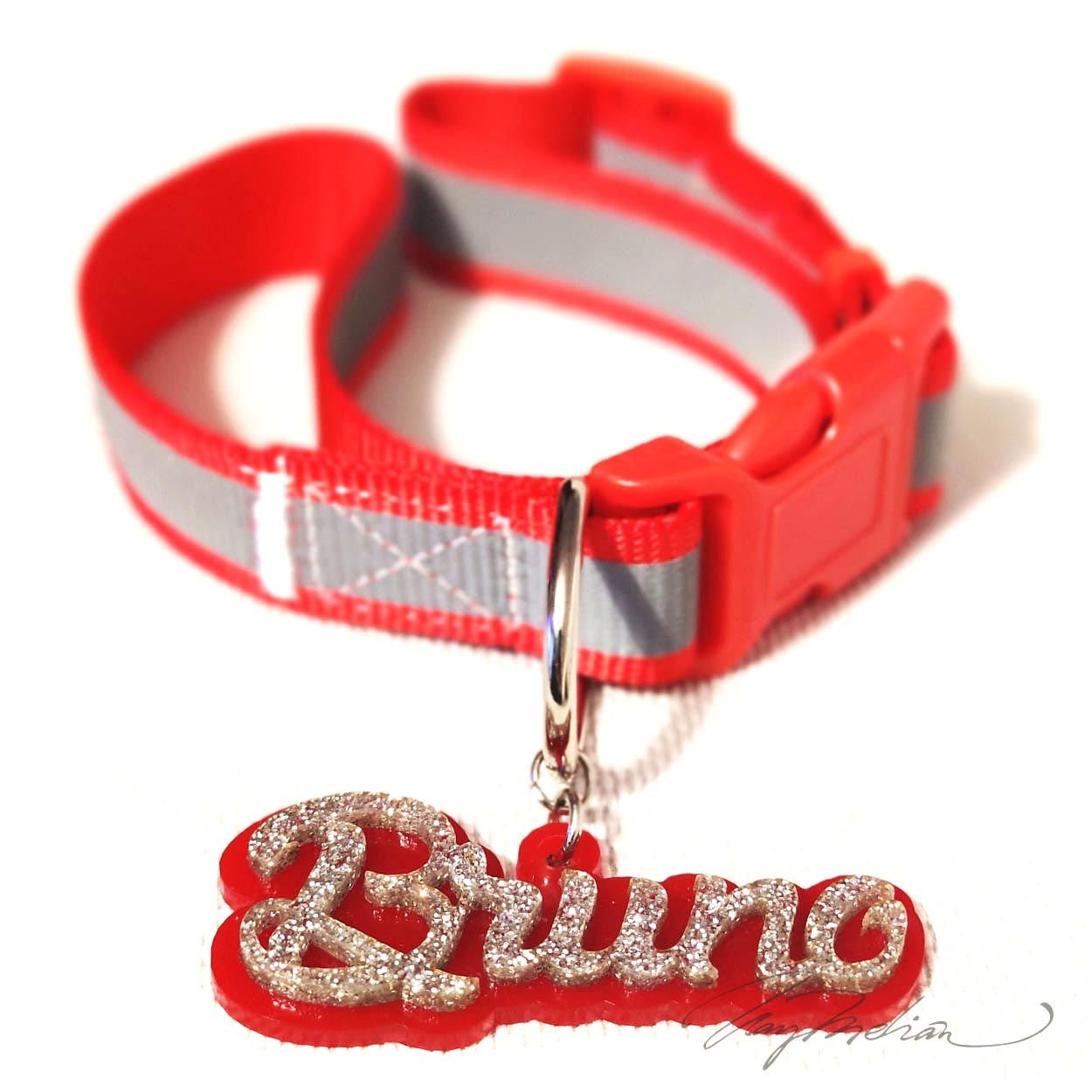 Collar de Perro Personalizado BIGDOG en metacrilato Doble